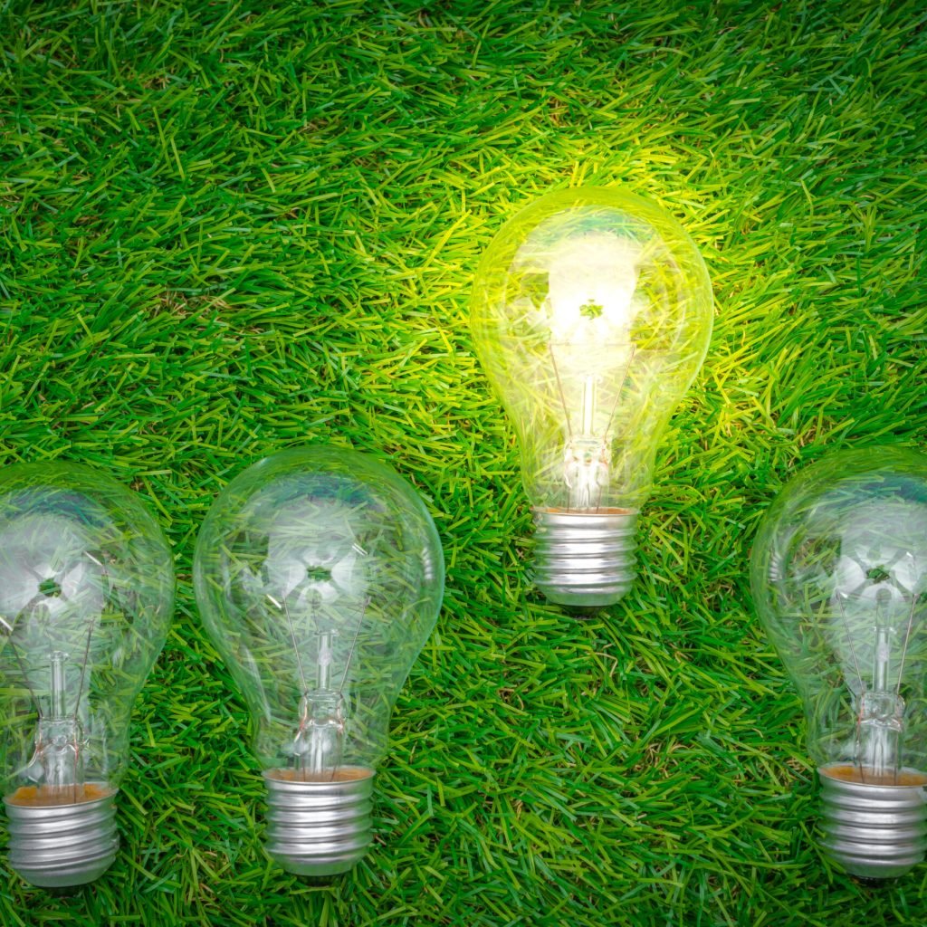 Eco concept – light bulb grow in the grass Eco concept - light bulb grow in the grass